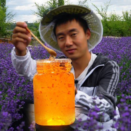 蜂蜜纯正结晶农家自产薰衣草蜜自家养土蜂蜜峰蜜安神助眠美容 - 图0