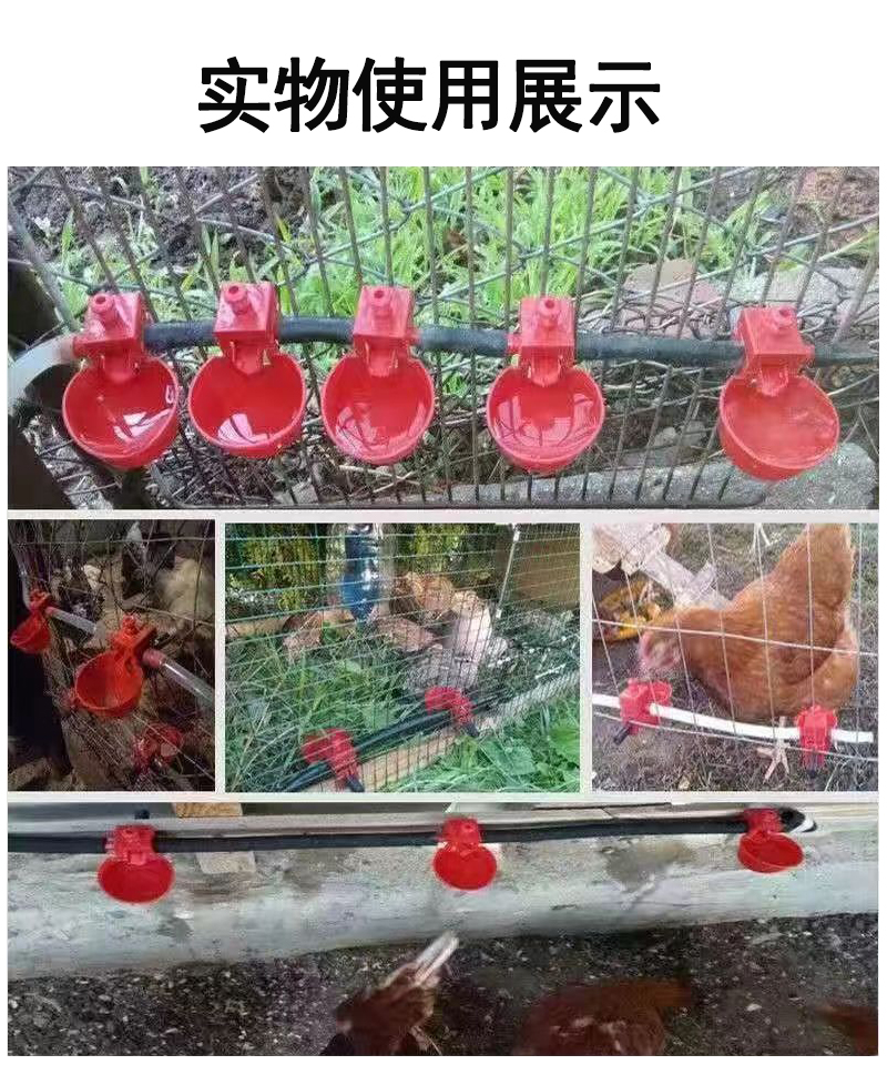 鸽子自动饮水碗鹌鹑鸟水杯喂水器育雏鸡鸭鹅鹌鹑鸟用喝水鸽笼用具,淘宝优惠券,粉丝福利购,淘宝优惠卷