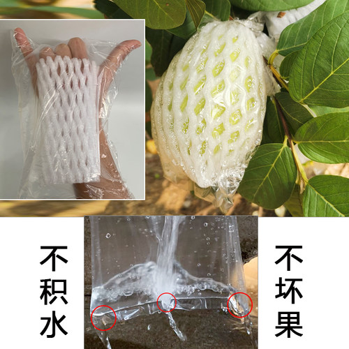 源头厂家水果网套包番石榴防虫袋芭乐网袋加厚袋子包装袋一体套袋 - 图0