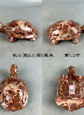 天然奇石肉石小乌龟原石头家居客厅玄关富贵观赏摆件鱼缸花盆造景