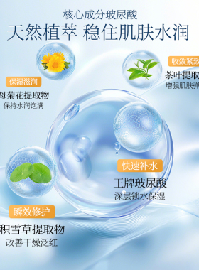 玻尿酸补水喷雾保湿小分子爽肤水妆前湿敷护肤水官方正品学生