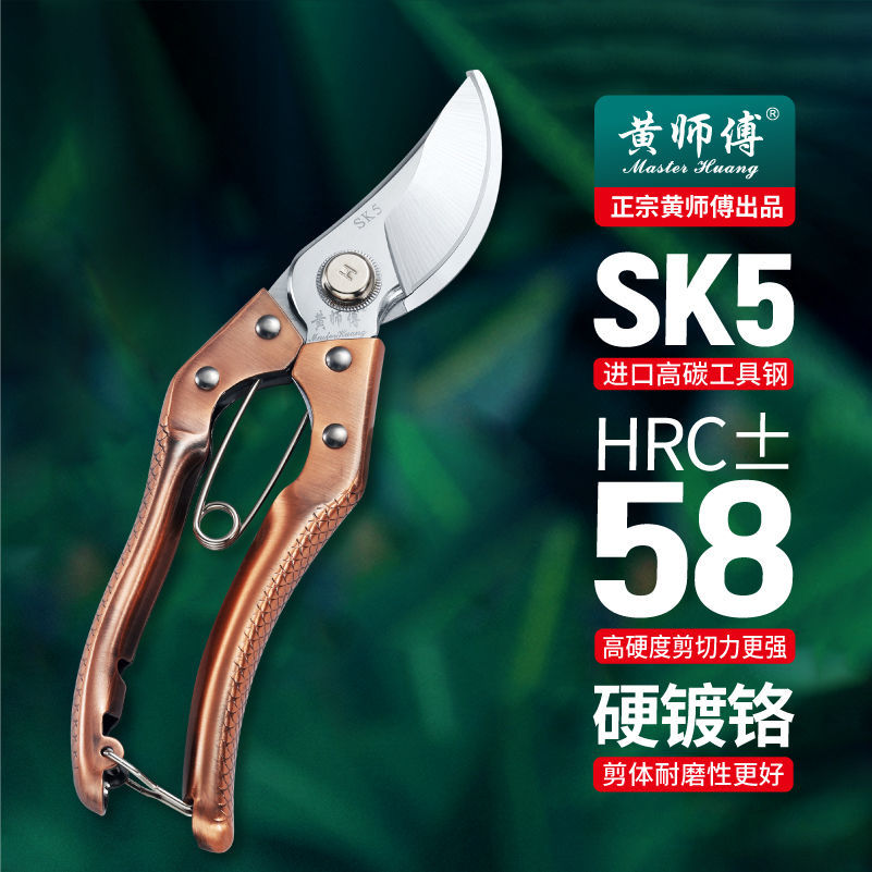 黄师傅苹果梨果树剪子修枝剪树枝剪子家用花艺剪盆栽修剪园艺工具 - 图0