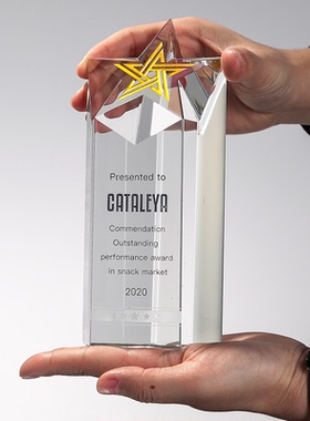 创意五角星奖杯定制水晶奖牌定做优秀员工年终颁奖保险团队奖年会