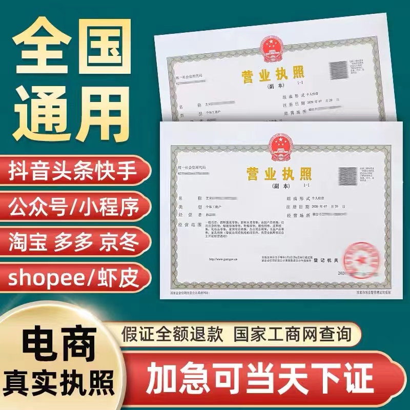 海南各区注册公司代办营业执照个体户地址挂靠股权股东变更注销