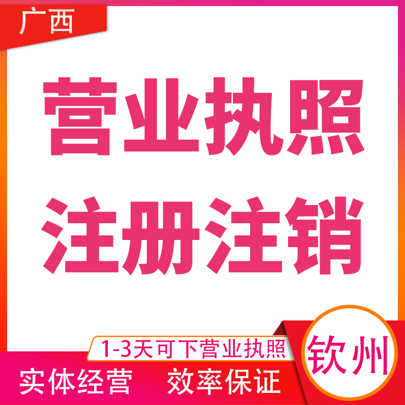 钦州分公司注销注册营业执照代办理股东个体户钦南钦北灵山浦北