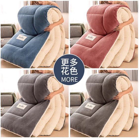 Lamb velvet quilt 2025 new winter quilt core winter dormitory student autumn and winter quilt thickened warm quilt core
