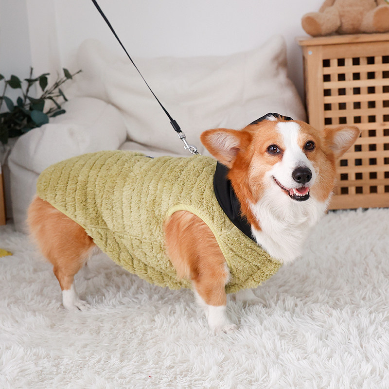 宠物柯基衣服秋冬保暖狗狗两脚衣带帽柴犬法斗中小型犬可牵引绒衣,淘宝优惠券,粉丝福利购,淘宝优惠卷