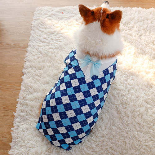 小狗狗衣服学院风情侣装裙子春秋薄款泰迪比熊柯基猫咪两脚衣秋装 - 图2