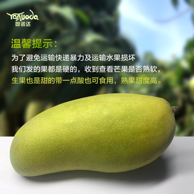 呀诺达水果旗舰店海南三亚金煌芒果中大净果9斤甜心芒大青芒水仙芒大忙果整箱2