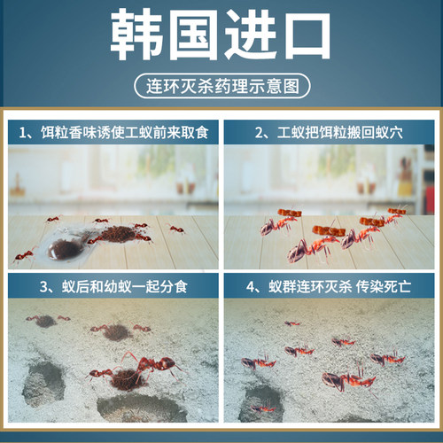 优可威蚂蚁药家用全强窝端效一名室内非无毒专用灭除小黄红黑旗舰 - 图2