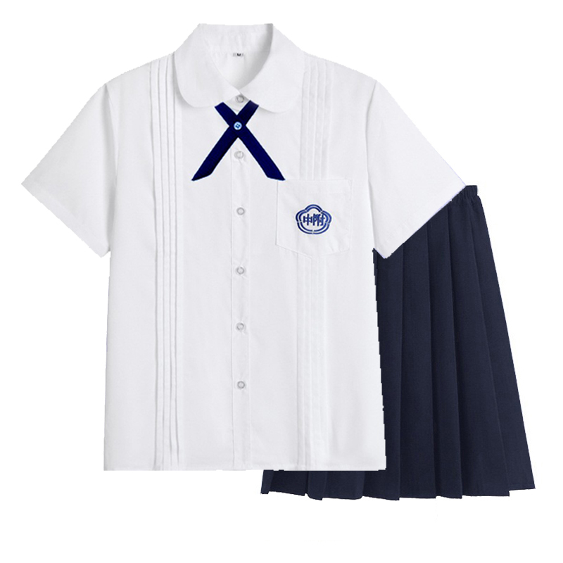 正版师大附中校服jk制服裙套装风琴褶衬衫短袖女dk学生班服毕业照 - 图3