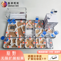 Original Wild Infinity Expands Bionic Ant Nest Plane Ants Nest Acrylic Ants Nest 3D Print Ant Nest Ants Total Mobilisation