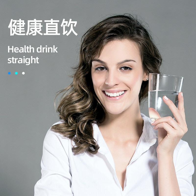 德国德克西家用直饮厨房商用净水器 德克西净水器
