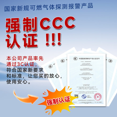 燃气泄露报警器家用餐饮厨房天然气煤炉煤气一氧化碳漏气报警 - 图3