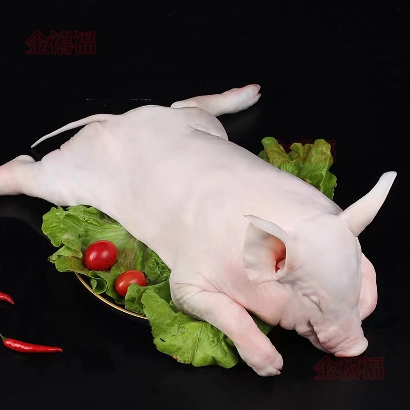 乳猪整只新鲜现拍现杀冷冻小耳广式脆皮宴席烧腊厂祭祖食材小香猪,淘宝优惠券,粉丝福利购,淘宝优惠卷