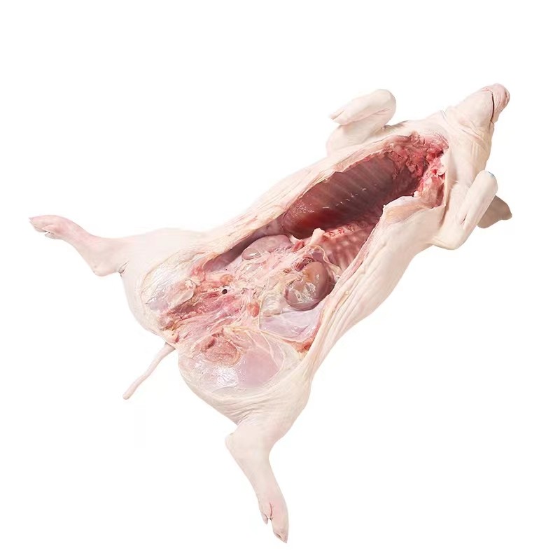 乳猪整只新鲜现拍现杀冷冻小耳广式脆皮宴席烧腊厂祭祖食材小香猪,淘宝优惠券,粉丝福利购,淘宝优惠卷