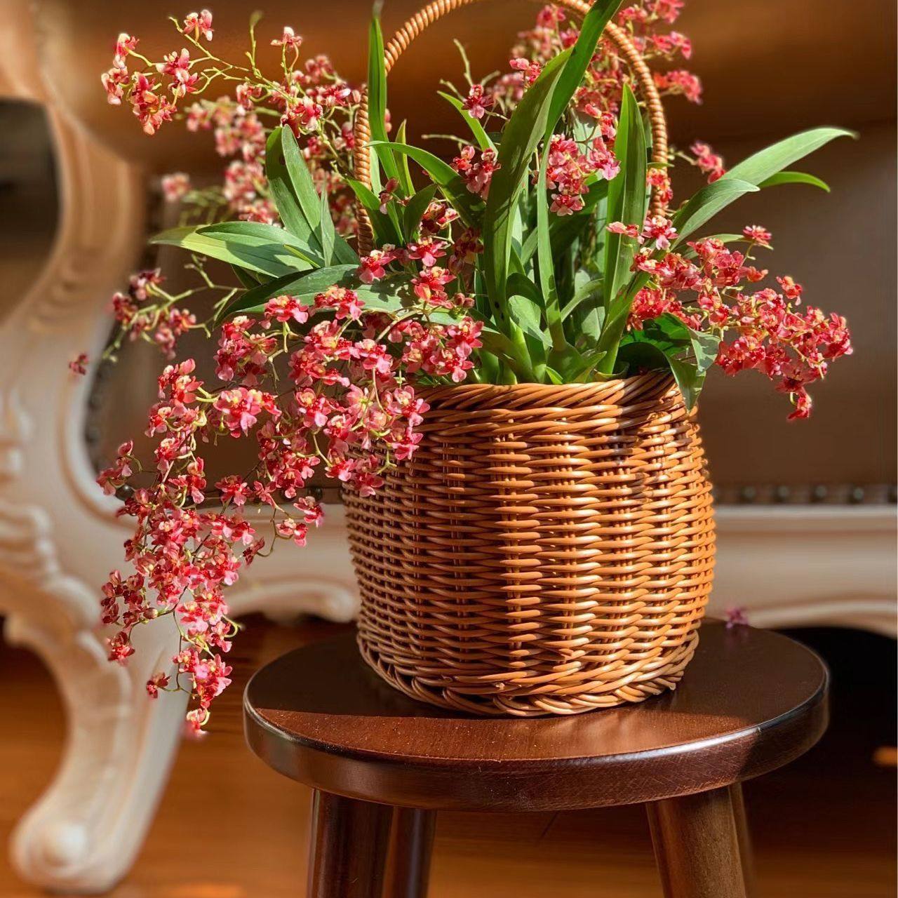 梦香兰文心兰花卉盆栽开花香味绿植桌面盆栽植物办公室新手好养,淘宝优惠券,粉丝福利购,淘宝优惠卷