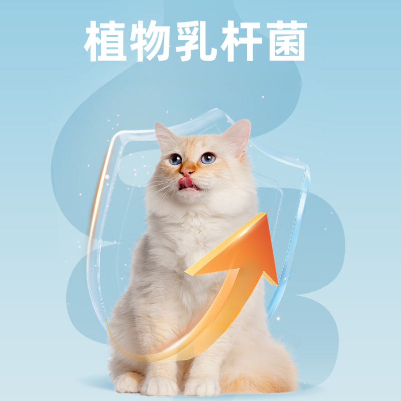 【双11预售】伊纳宝ciao猫咪主食罐头48罐湿粮猫零食幼猫条水煮罐
