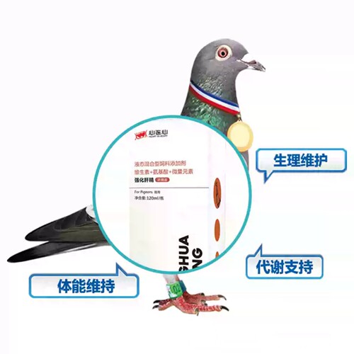 心连心鸽药鹦旗舰店强化肝精液120ml鸟类保健品氨基酸维生素鸽用 - 图1