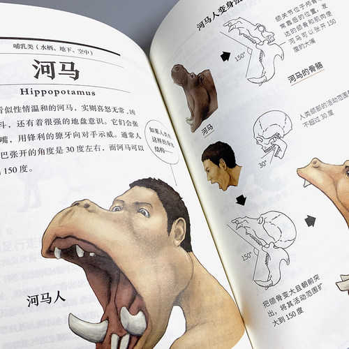 跟动物交换身体 插画师古生物研究者川崎悟司23种动物的身体结构及背后的生物进化奥秘科普认知书【凤凰新华书店旗舰店】 - 图2