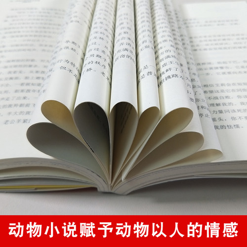 正版 斑羚飞渡 动物小说大王沈石溪品藏书系狼王梦青少年课外书8-10-12-15周岁四五六年级小学生课外阅读书籍正版书目儿童读物 - 图0