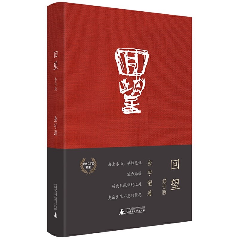 回望 精装修订版 茅盾文学奖得主《繁花》作者金宇澄非虚构作品 中国现当代纪实文学 凤凰新华书店旗舰店官网正版书籍 - 图3