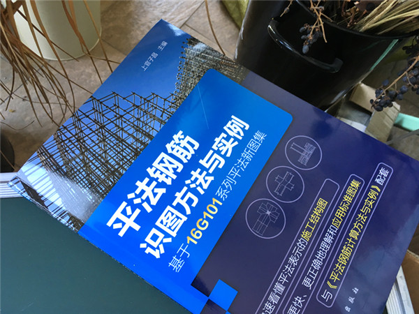 平法钢筋识图方法与实例 基于16G101系列平法新图集 平法识图与钢筋计算 建筑工程钢筋图纸识图教程 混凝土结构施工图设计规范书籍 - 图3