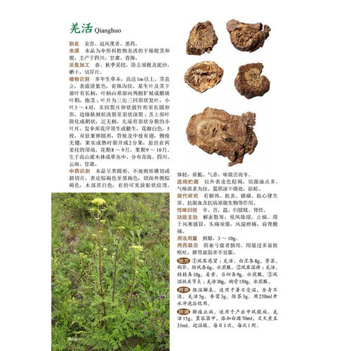图解中草药大全 中医入门中草药大全书籍药材植物彩图中药大全 中医养生保健大全中草药识别百科全书 本草纲目中草药识别参考书籍 - 图0