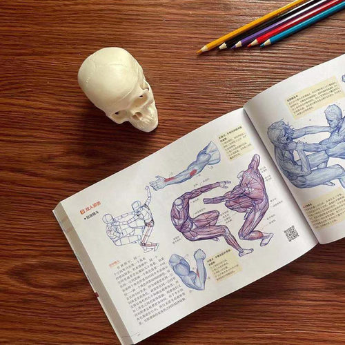 艺用动态解剖 附赠46集作者直播课程视频 素描绘画教学角色设计 插画师金乐熹 人体动态结构教程肌肉结构 凤凰新华书店旗舰店 - 图3