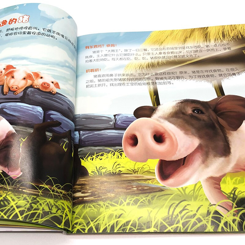 童眼识天下科普馆 农场动物 趣味科普 中国少年儿童科学启蒙百科全书籍 恐龙海洋动物植物蔬菜知识 3-6-12岁孩子全景手绘大图