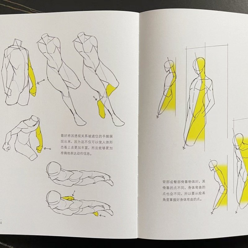 人体结构绘画重点 人体结构 人体绘画 崔元喜 TACO人体 解剖 动画人体结构教程 人体结构绘画教程 绘画技巧 绘画教程,淘宝优惠券,粉丝福利购,淘宝优惠卷