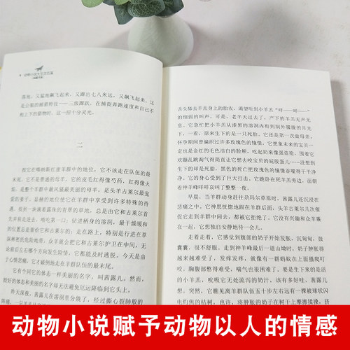 正版 斑羚飞渡 动物小说大王沈石溪品藏书系狼王梦青少年课外书8-10-12-15周岁四五六年级小学生课外阅读书籍正版书目儿童读物 - 图1