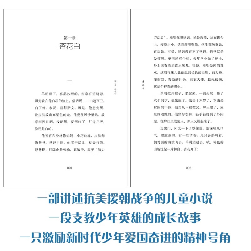 2023年中国好书慈江雨 马三枣 抗美援朝战争儿童小说 小学生3-6年级少年爱国励志成长课外阅读 新华正版书籍 - 图3