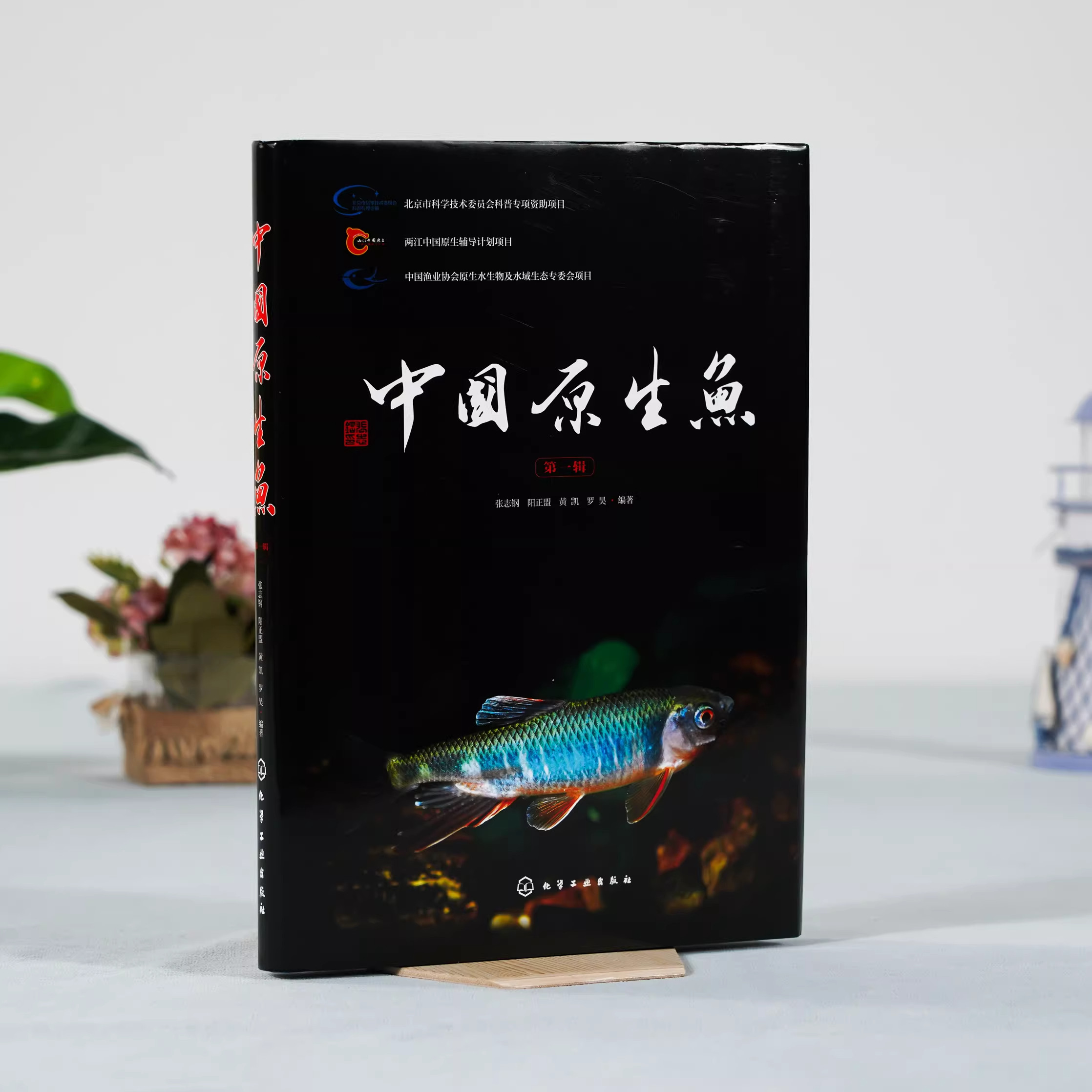 图2