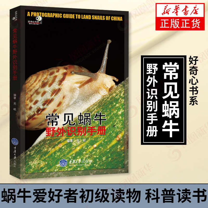 软体动物 新人首单立减十元 21年8月 淘宝海外