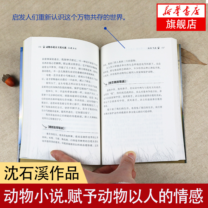 正版斑羚飞渡动物小说大王沈石溪品藏书系狼王梦青少年课外书8-10-12-15周岁四五六年级小学生课外阅读书籍正版书目儿童读物-图2