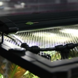 Миус Одиссея Лесной лес Леса леса Боксерский боксерский аквариум светодиодный освещение водное леса