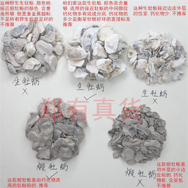 牡蛎中药材精选生牡蛎煅牡蛎牡蛎块 牡蛎粉 生牡蛎壳 汗多 浮小麦 - 图0