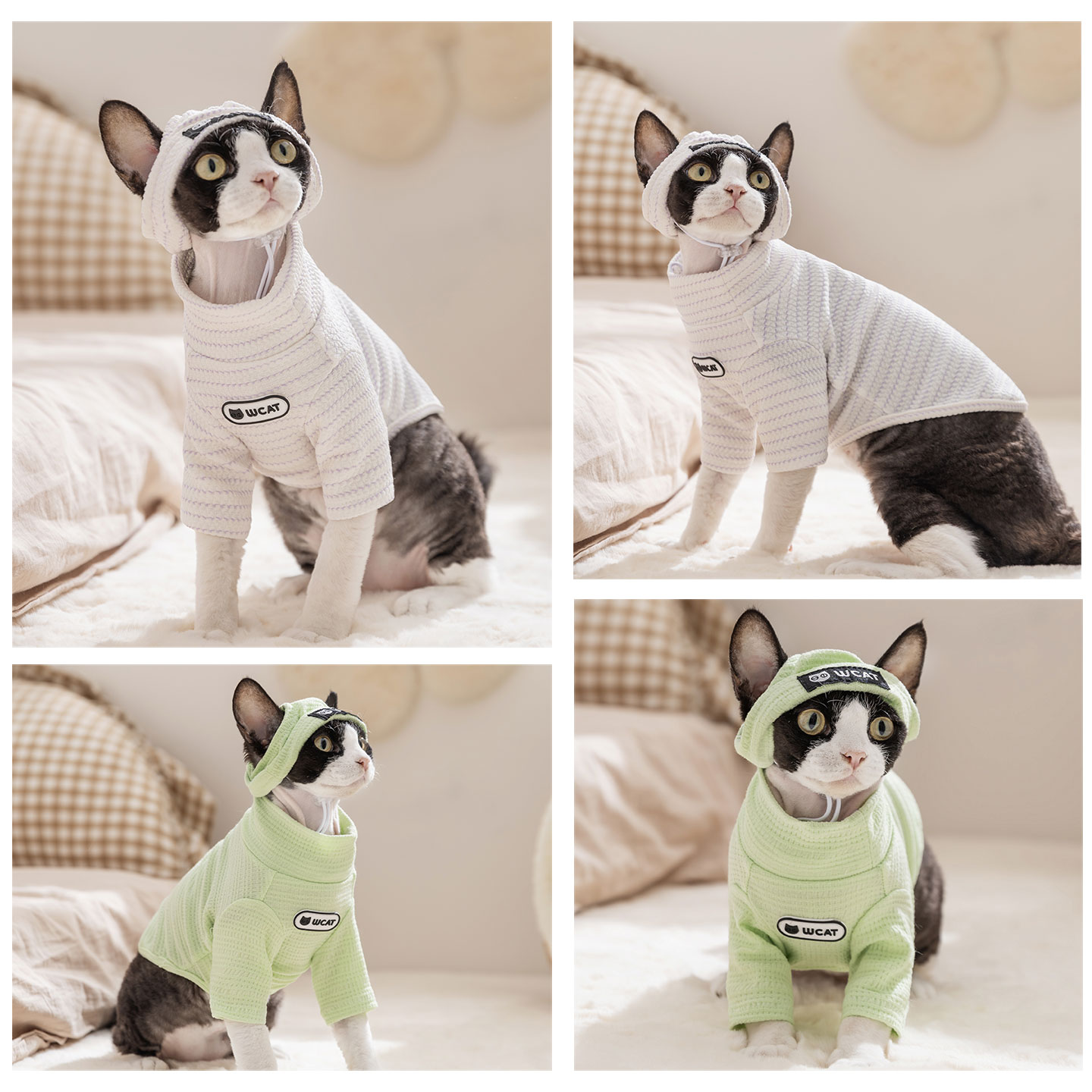 送帽子德文猫衣服薄款秋天暹罗无毛猫宠物幼猫小猫咪打底衫春秋季 - 图3