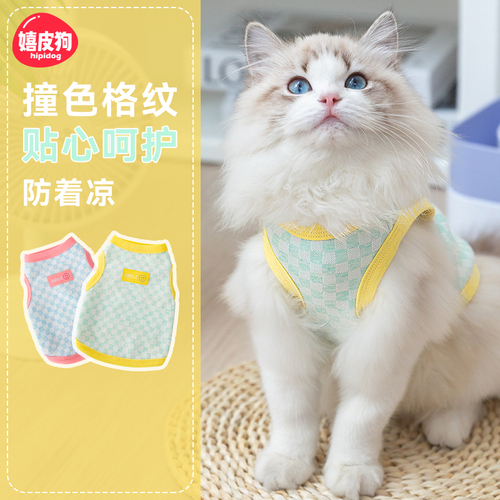 小猫咪衣服防掉毛夏天薄款英短蓝猫布偶幼猫夏季奶猫宠物防晒背心