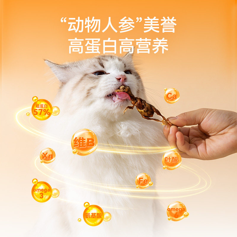 猫零食鹌鹑冻干猫咪磨牙棒增肥营养洁牙幼猫零食猫咪鹌鹑冻干零食,淘宝优惠券,粉丝福利购,淘宝优惠卷