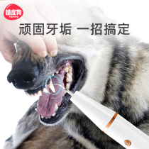 Pet Pooch Dental Calculus Remover Ultrasonic Cleanser Kitsch Kittens teeth cleaning Divine Teeth Cleaner Tools tools
