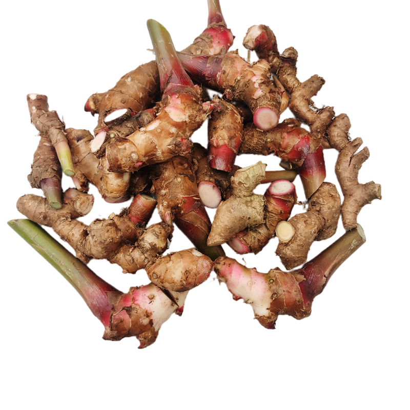 四川产夜寒苏新鲜野姜现挖大姜砂仁根头窜姜路边姜煲汤好食材黄姜,淘宝优惠券,粉丝福利购,淘宝优惠卷