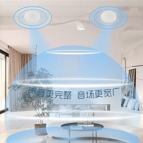 HOPE向往HS800定阻吸顶吊顶嵌入式喇叭音响音箱中低高音 - 图1