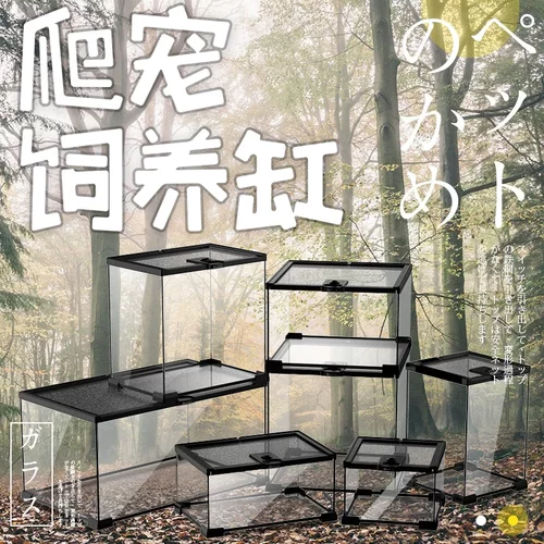 玻璃饲养箱爬虫缸雨林水陆缸爬宠睫角守宫角蛙蜥蜴蜘蛛甲虫生态缸 - 图2