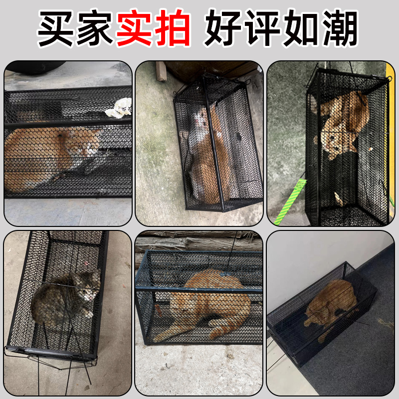 全自动捕猫笼抓猫神器大号抓流浪猫笼子专用扑捉夹猫咪笼捕猫神器-图1