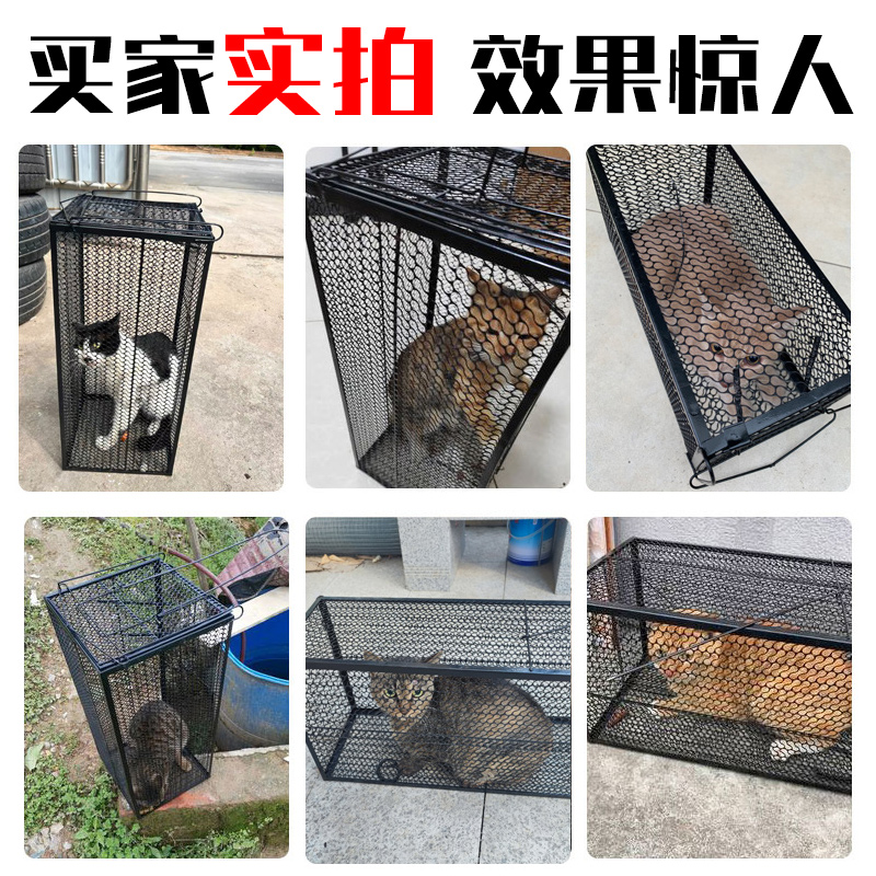 捕猫笼抓猫神器全自动专用老鼠笼子大号超强捉逮扑野猫救助流浪猫 - 图1