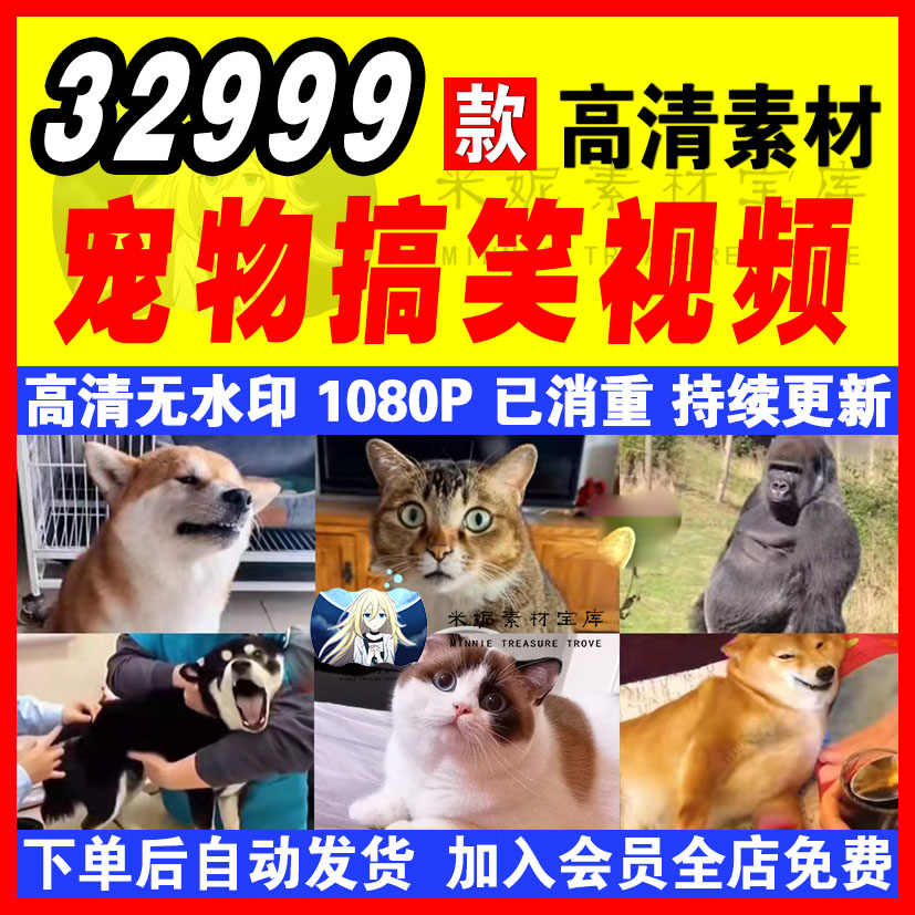 猫配音 新人首单立减十元 22年7月 淘宝海外