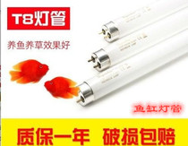 Old lighting tube lighting tube T8 lighting tube 10W15W20W25W30W40W fish tank tricolour color old lighting tube