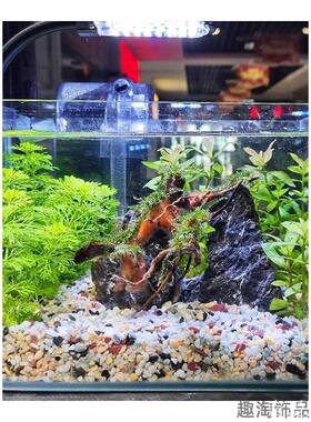 五彩石铺底雨花石新款腰果鹅卵石